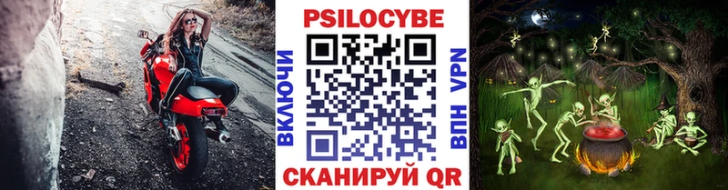 Галлюциногенные грибы GOLDEN TEACHER  купить  цена  Рыльск 